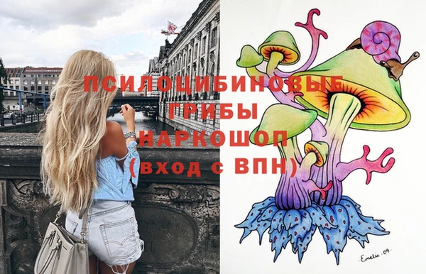 spice Абинск