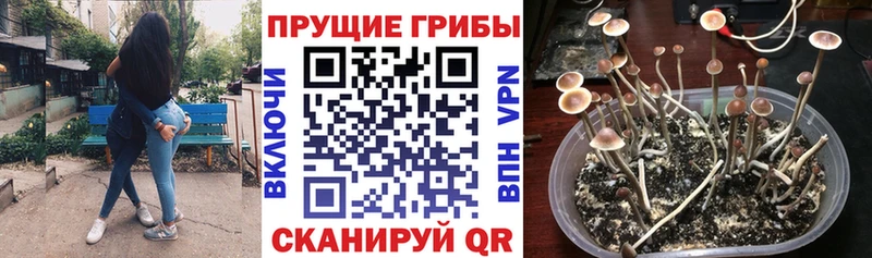 гидра вход  Красный Сулин  Псилоцибиновые грибы MAGIC MUSHROOMS 